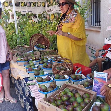 Appartement Charmant En Provence ドラギニャン エクステリア 写真