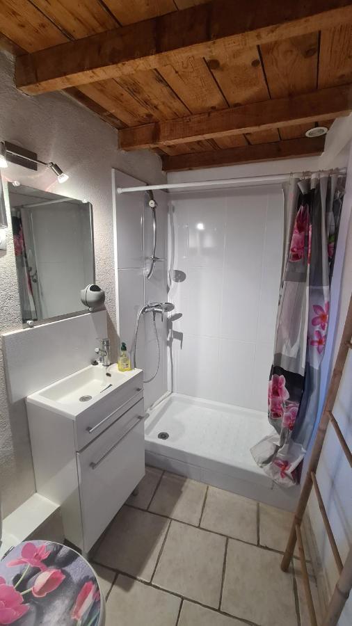 Appartement Charmant En Provence ドラギニャン エクステリア 写真